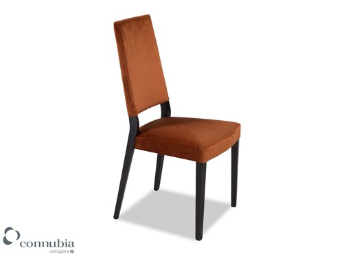 Brick Red Velvet Graphite Framed Dining Chair - Sandy