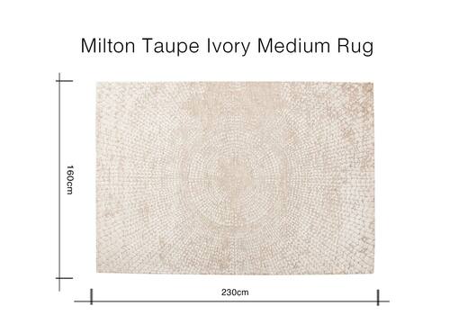 Medium Taupe & Ivory Textured Rug - Milton photo 1